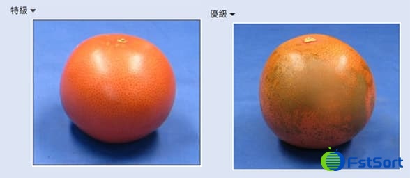 images/1736739528168grapefruit sorting machine.jpg